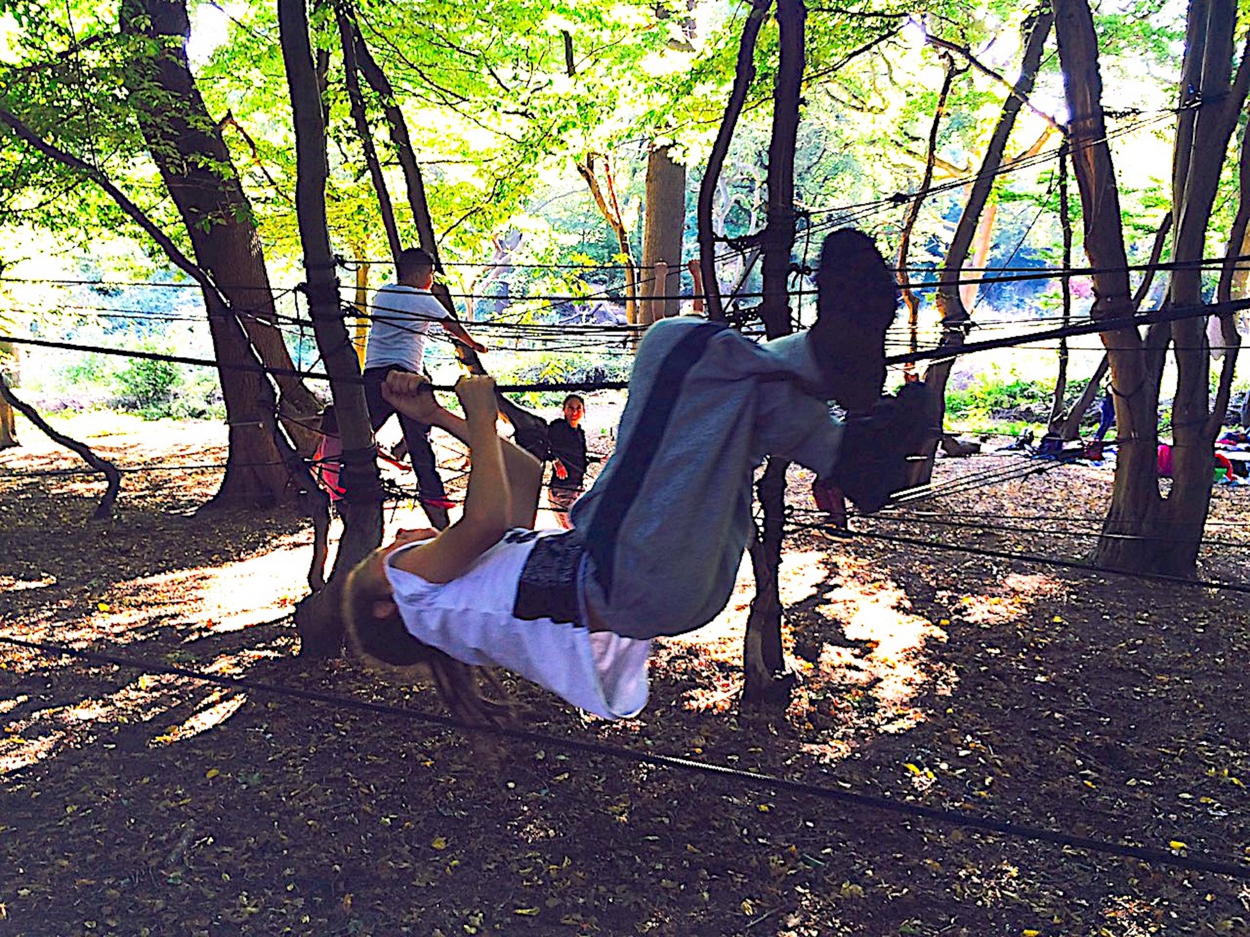 Young child climbing on ropes that are set up between the trees.
